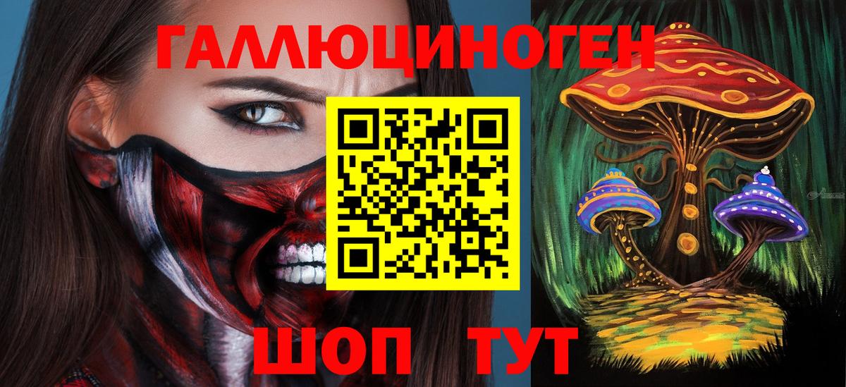 Псилоцибиновые грибы Cubensis Егорьевск