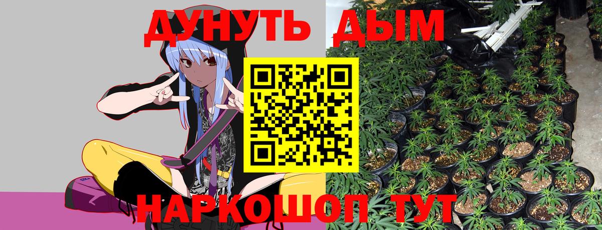 Шишки марихуана индика Егорьевск